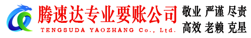 新兴收账公司